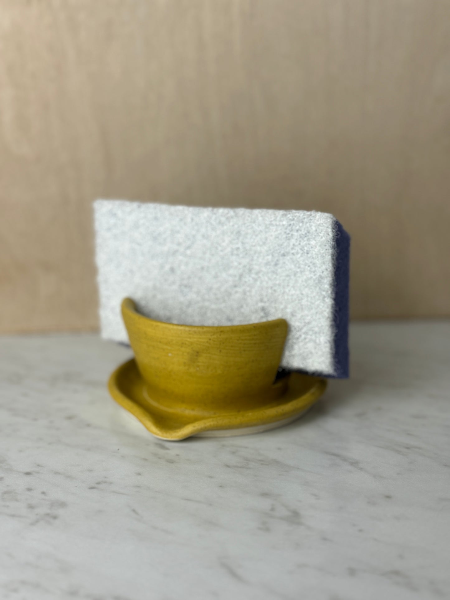 Sponge Holders - Multiples Styles/Colors