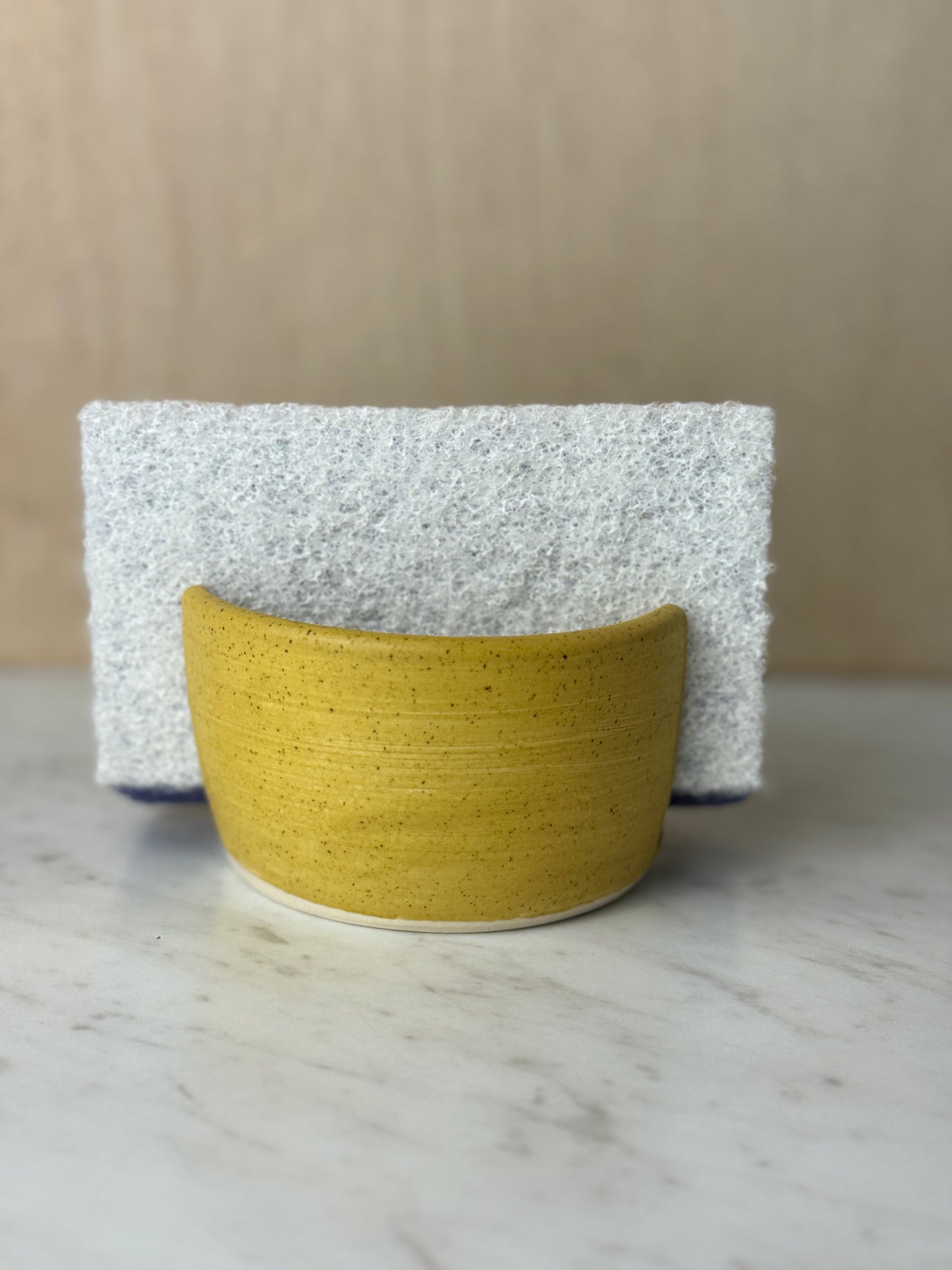 Sponge Holders - Multiples Styles/Colors